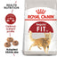 Royal Canin Dry Cat Food Fit - Woonona Petfoods