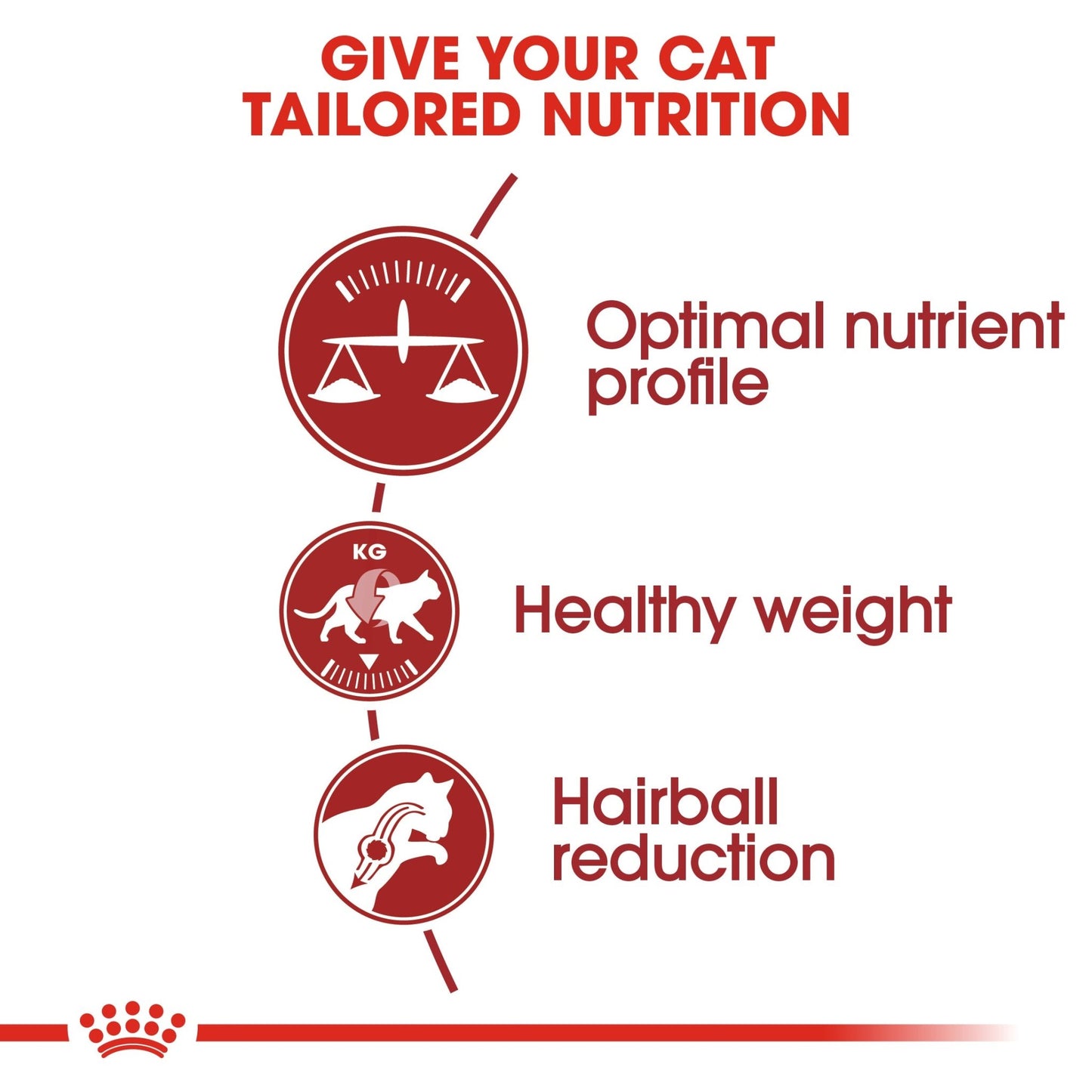 Royal Canin Dry Cat Food Fit - Woonona Petfoods