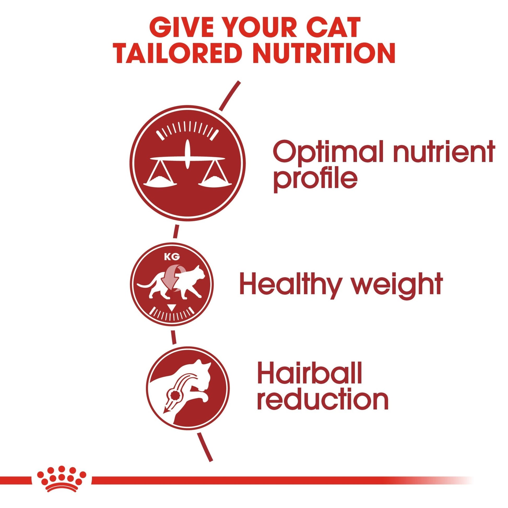Royal Canin Dry Cat Food Fit - Woonona Petfoods