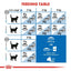 Royal Canin Dry Cat Food Indoor Mature +7 - Woonona Petfoods