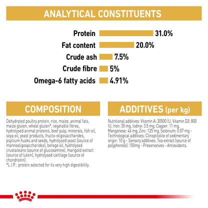 Royal Canin Dry Cat Food Maine Coon Adult - Woonona Petfoods