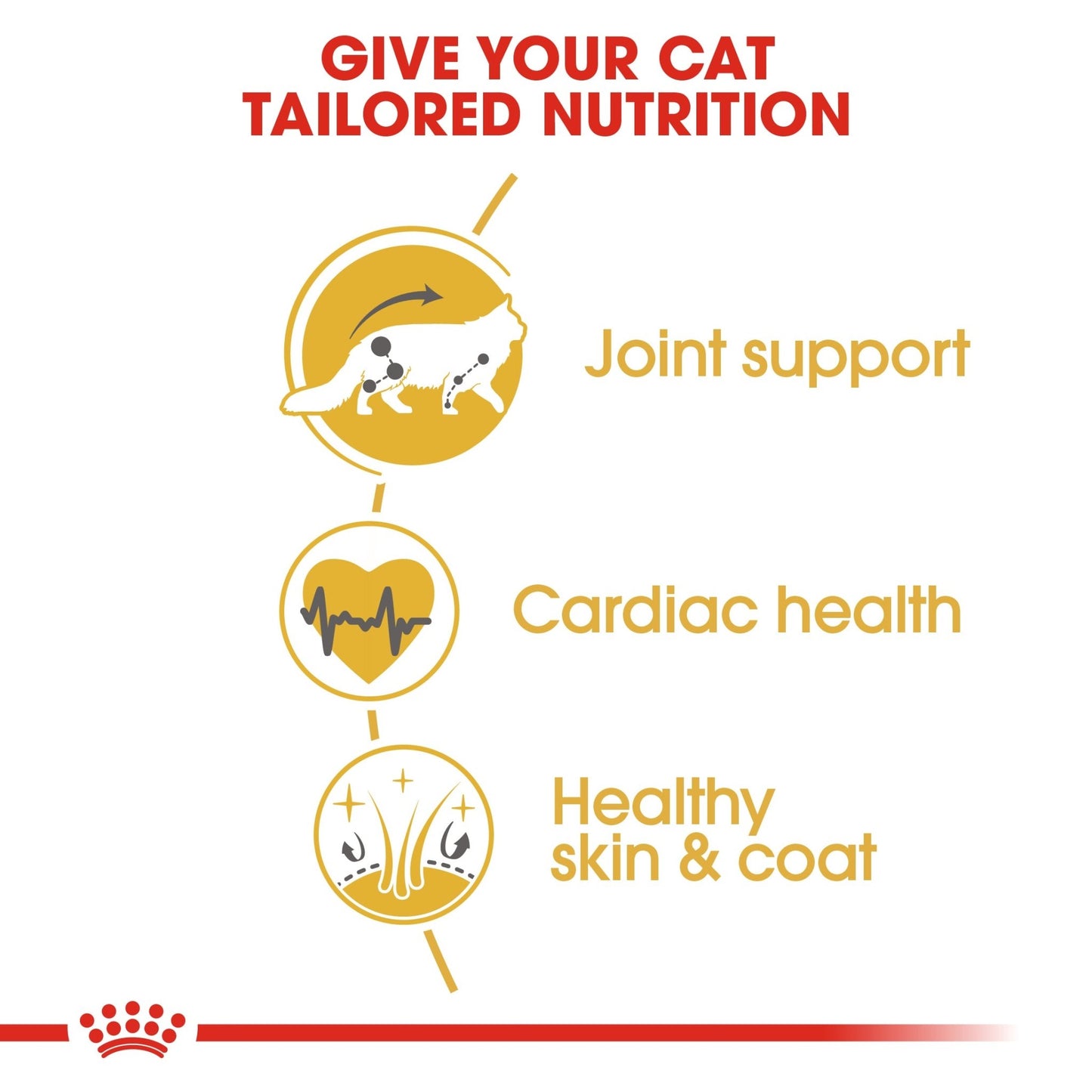 Royal Canin Dry Cat Food Maine Coon Adult - Woonona Petfoods