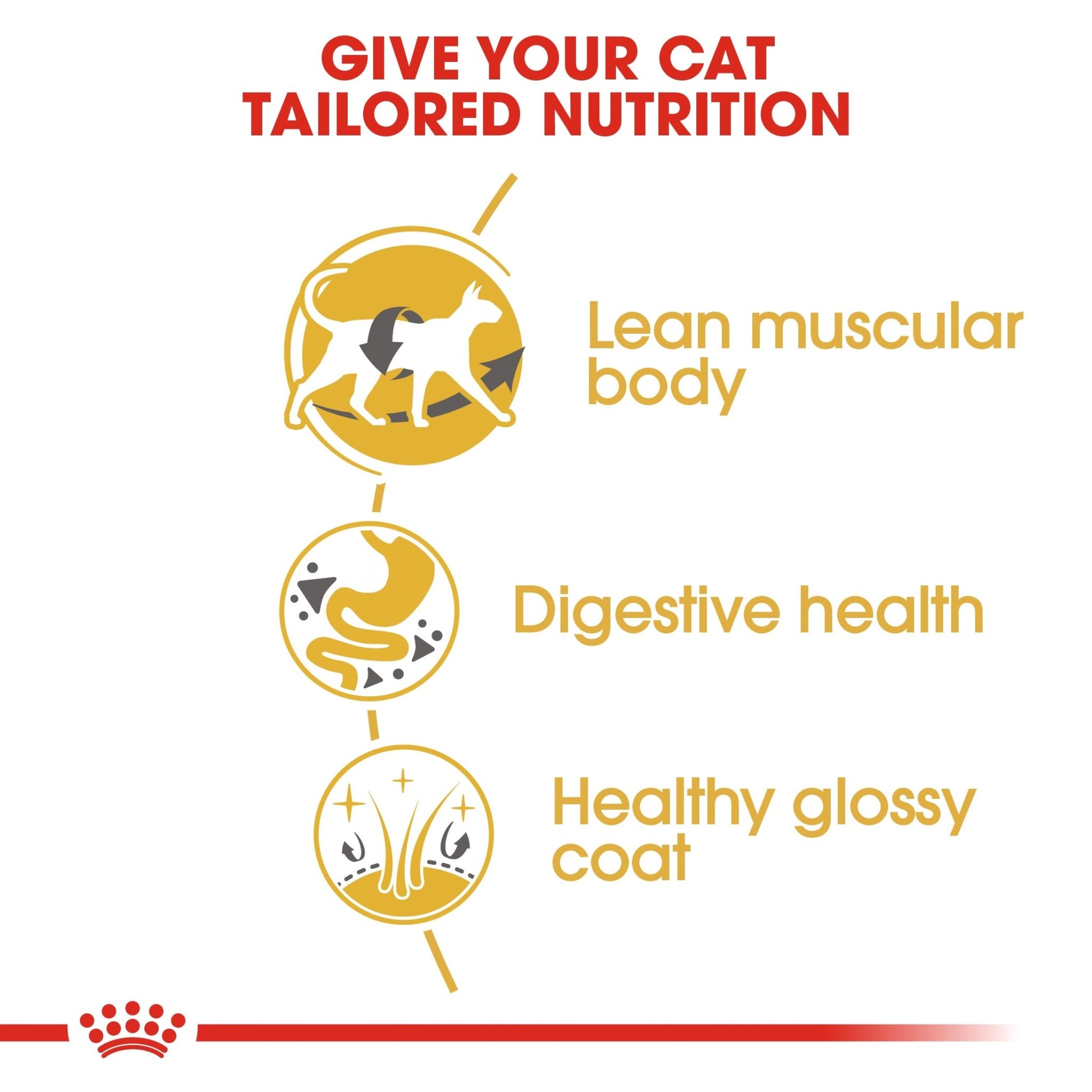 Royal Canin Dry Cat Food Siamese Adult - Woonona Petfoods