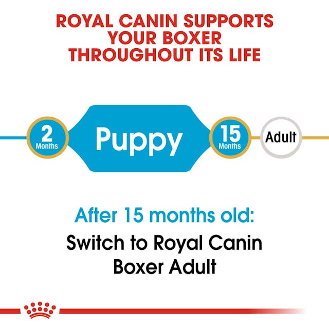 Royal Canin Dry Dog Food Boxer Junior 12kg - Woonona Petfood & Produce