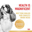 Royal Canin Dry Dog Food Cavalier King Charles Adult - Woonona Petfood & Produce