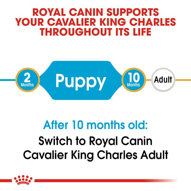 Royal Canin Dry Dog Food Cavalier King Charles Puppy 1.5kg - Woonona Petfood & Produce