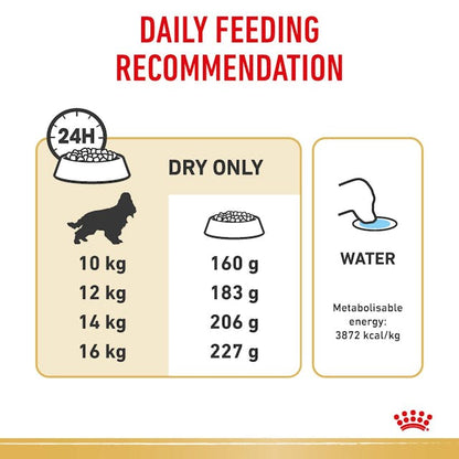 Royal Canin Dry Dog Food Cocker Spaniel Adult - Woonona Petfood & Produce