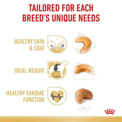 Royal Canin Dry Dog Food Cocker Spaniel Adult - Woonona Petfood & Produce