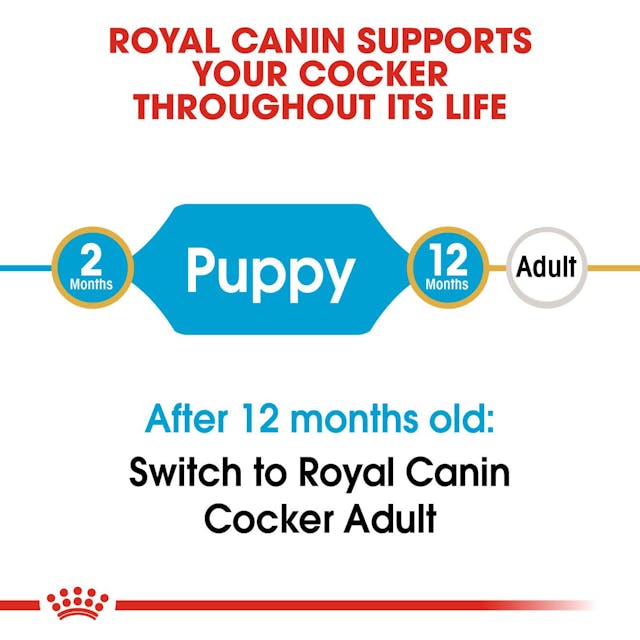 Royal Canin Dry Dog Food Cocker Spaniel Puppy 3kg - Woonona Petfood & Produce