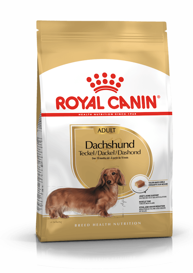 Royal Canin Dry Dog Food Dachshund Adult - Woonona Petfood & Produce