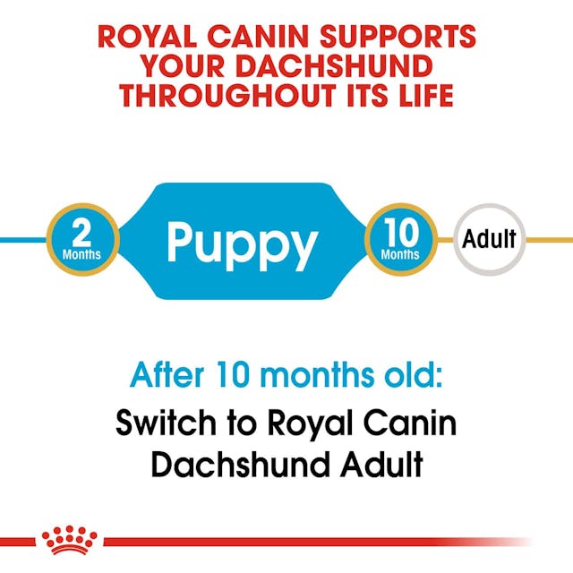 Royal Canin Dry Dog Food Dachshund Puppy 1.5kg - Woonona Petfood & Produce