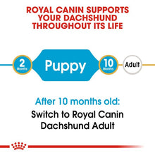 Royal Canin Dry Dog Food Dachshund Puppy 1.5kg - Woonona Petfood & Produce