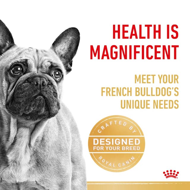 Royal Canin Dry Dog Food French Bulldog Adult - Woonona Petfood & Produce