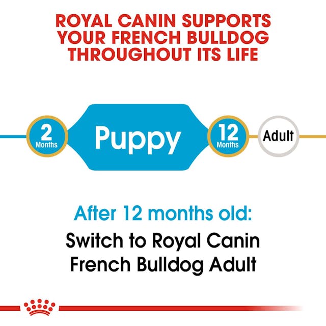 Royal Canin Dry Dog Food French Bulldog Puppy 3kg - Woonona Petfood & Produce