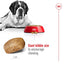 Royal Canin Dry Dog Food Giant Adult 15kg - Woonona Petfood & Produce