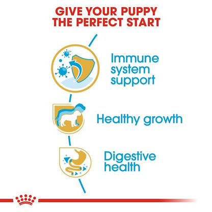 Royal Canin Dry Dog Food Jack Russell Puppy 1.5kg - Woonona Petfood & Produce