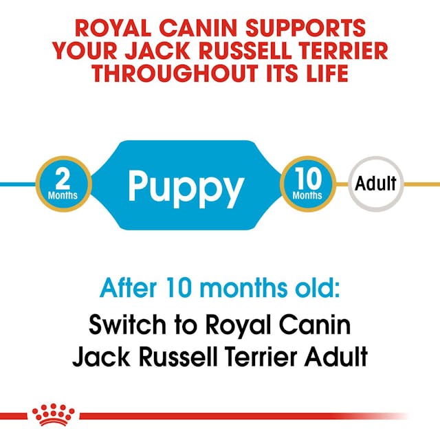 Royal Canin Dry Dog Food Jack Russell Puppy 1.5kg - Woonona Petfood & Produce