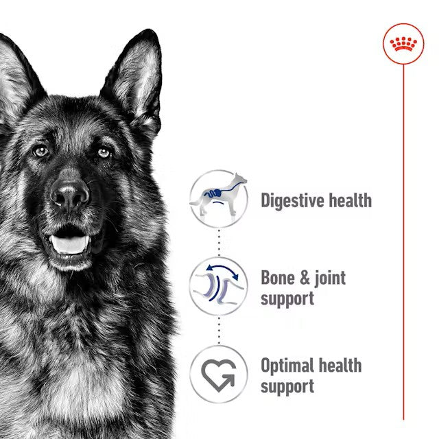 Royal Canin Dry Dog Food Maxi Large Breed Adult - Woonona Petfoods
