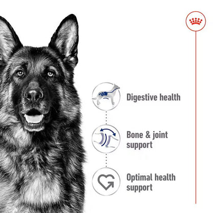 Royal Canin Dry Dog Food Maxi Large Breed Adult - Woonona Petfoods