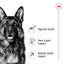 Royal Canin Dry Dog Food Maxi Large Breed Adult 5+ 15kg - Woonona Petfoods