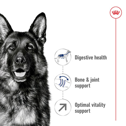 Royal Canin Dry Dog Food Maxi Large Breed Adult 5+ 15kg - Woonona Petfoods
