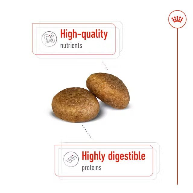 Royal Canin Dry Dog Food Maxi Large Breed Adult - Woonona Petfoods