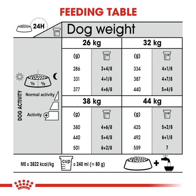 Royal Canin Dry Dog Food Maxi Large Breed Dental Care 9kg - Woonona Petfood & Produce