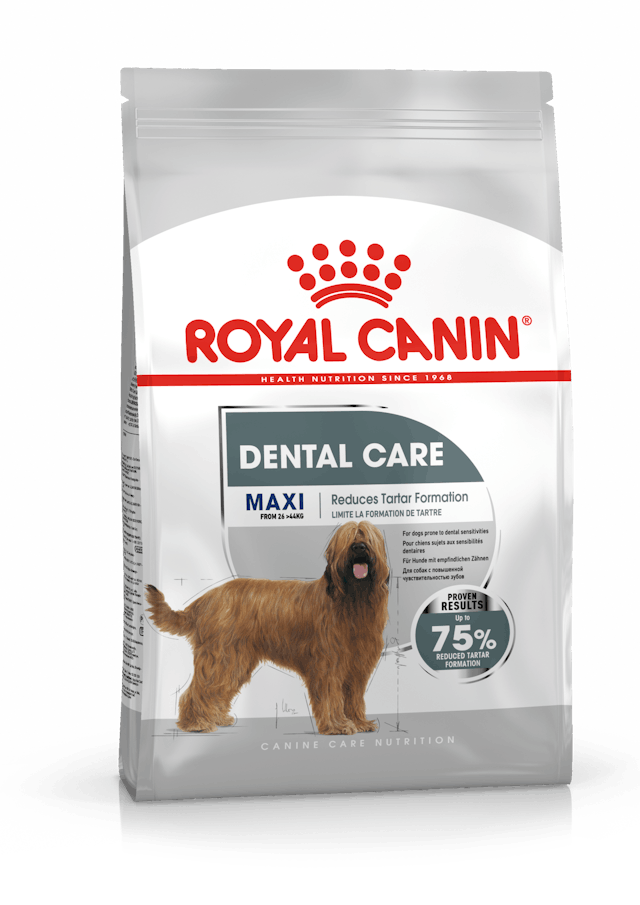 Royal Canin Dry Dog Food Maxi Large Breed Dental Care 9kg - Woonona Petfood & Produce