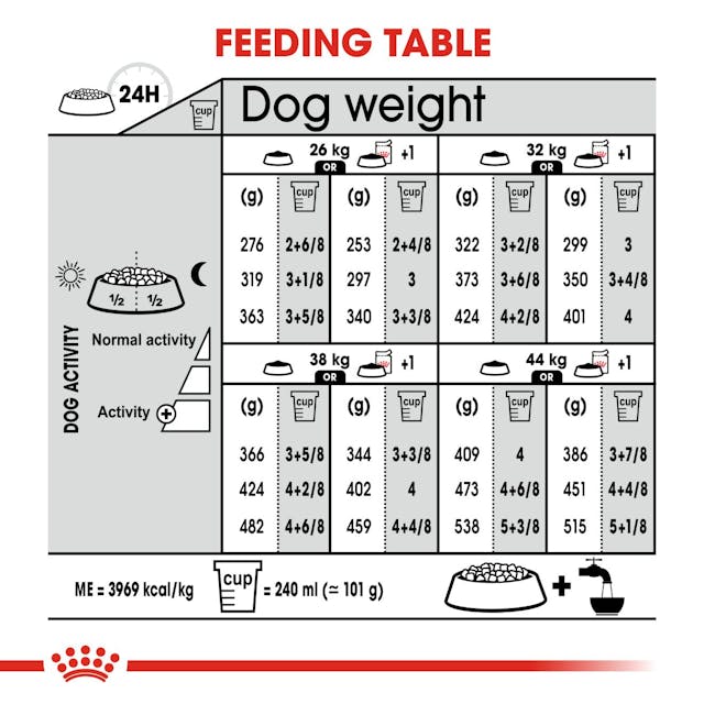 Royal Canin Dry Dog Food Maxi Large Breed Dermacomfort Care 12kg - Woonona Petfood & Produce