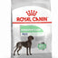 Royal Canin Dry Dog Food Maxi Large Breed Digestive Care 12kg - Woonona Petfood & Produce