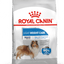 Royal Canin Dry Dog Food Maxi Large Breed Light Weight Care 12kg - Woonona Petfood & Produce