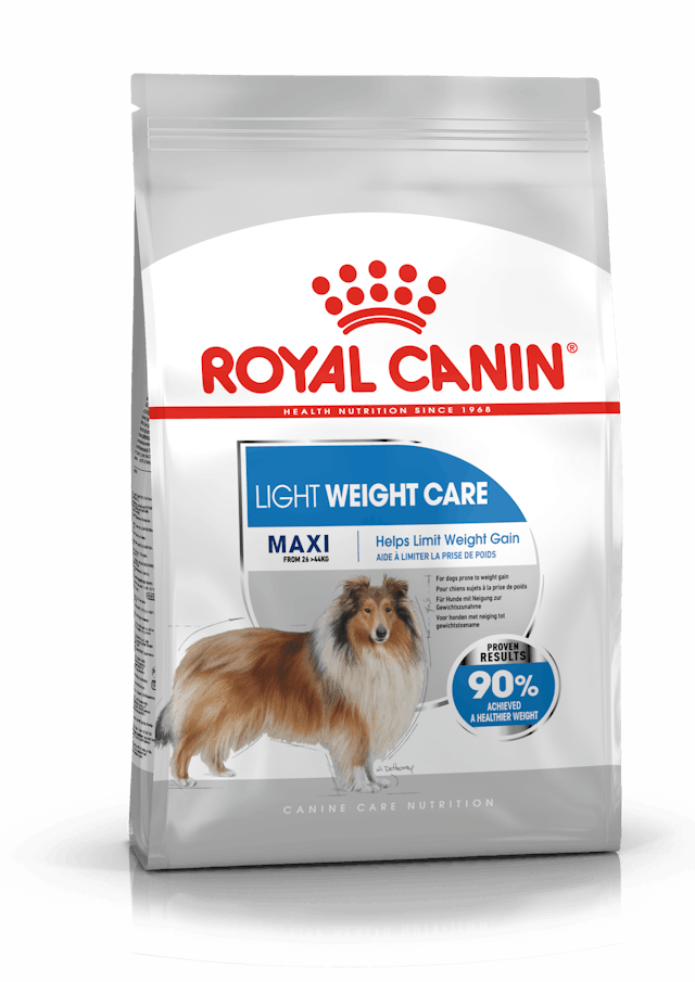 Royal Canin Dry Dog Food Maxi Large Breed Light Weight Care 12kg - Woonona Petfood & Produce