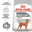 Royal Canin Dry Dog Food Medium Breed Dental Care - Woonona Petfood & Produce