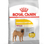 Royal Canin Dry Dog Food Medium Breed Dermacomfort Care - Woonona Petfood & Produce