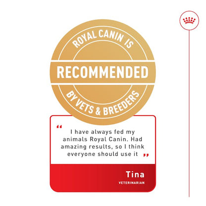 Royal Canin Dry Dog Food Medium Breed Digestive Care - Woonona Petfood & Produce