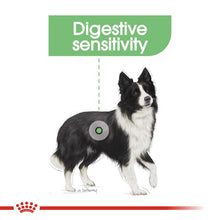 Royal Canin Dry Dog Food Medium Breed Digestive Care - Woonona Petfood & Produce