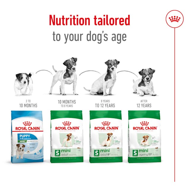 Royal Canin Dry Dog Food Mini Breed Adult - Woonona Petfood & Produce