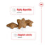 Royal Canin Dry Dog Food Mini Breed Adult - Woonona Petfood & Produce