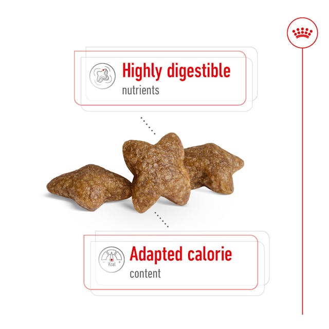 Royal Canin Dry Dog Food Mini Breed Adult - Woonona Petfood & Produce