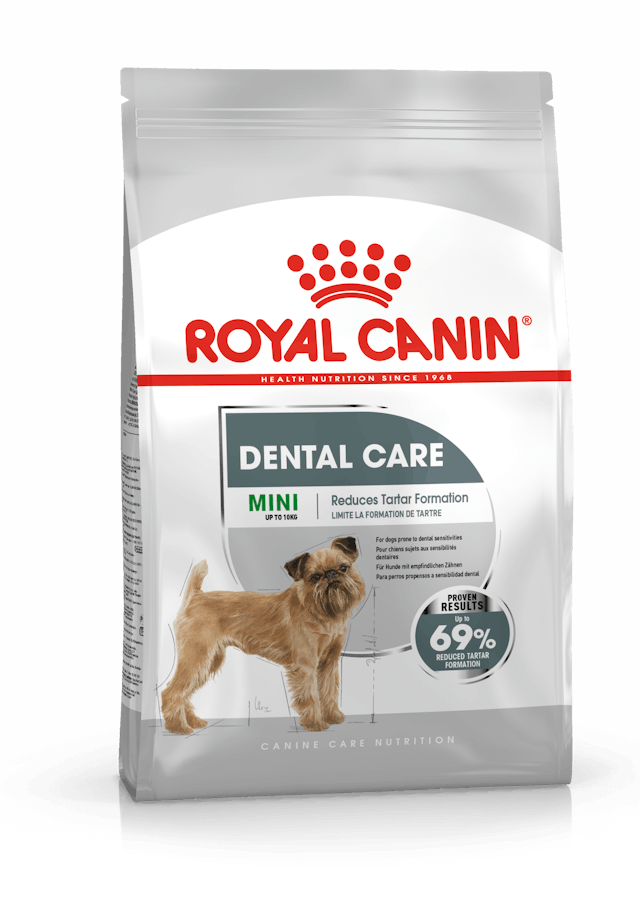 Royal Canin Dry Dog Food Mini Breed Dental Care 3kg - Woonona Petfood & Produce