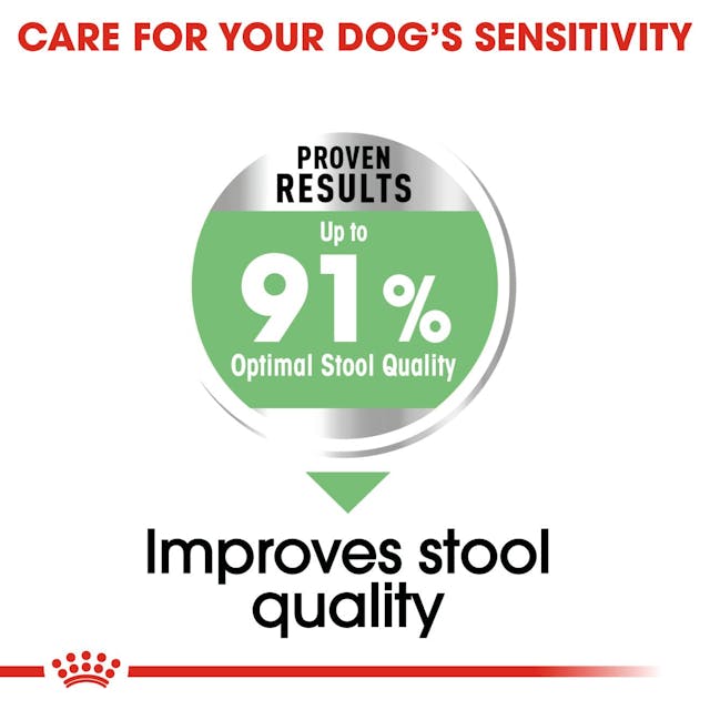 Royal Canin Dry Dog Food Mini Breed Digestive Care - Woonona Petfood & Produce