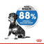 Royal Canin Dry Dog Food Mini Breed Light Weight Care 3kg - Woonona Petfood & Produce