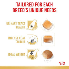 Royal Canin Dry Dog Food Mini Breed Schnauzer Adult - Woonona Petfood & Produce