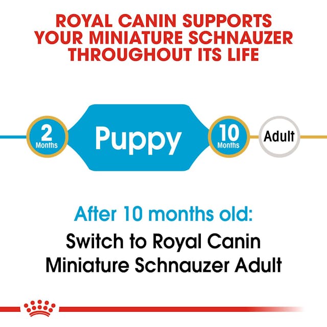 Royal Canin Dry Dog Food Mini Breed Schnauzer Junior 1.5kg - Woonona Petfood & Produce