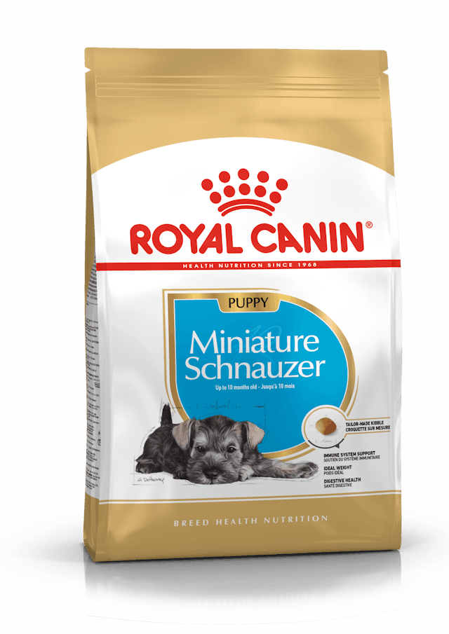 Royal Canin Dry Dog Food Mini Breed Schnauzer Junior 1.5kg - Woonona Petfood & Produce