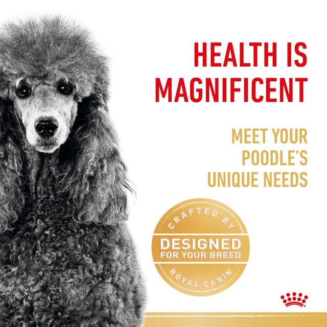 Royal Canin Dry Dog Food Poodle Adult - Woonona Petfood & Produce