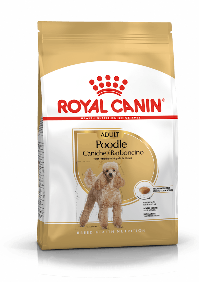 Royal Canin Dry Dog Food Poodle Adult - Woonona Petfood & Produce