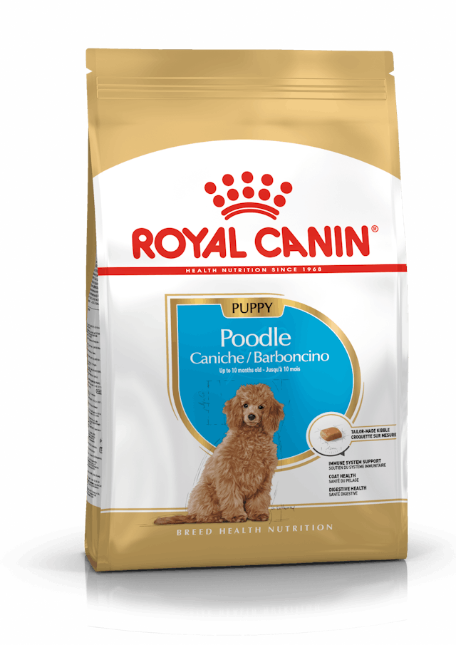 Royal Canin Dry Dog Food Poodle Puppy - Woonona Petfood & Produce