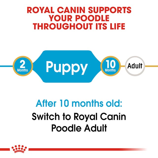 Royal Canin Dry Dog Food Poodle Puppy - Woonona Petfood & Produce