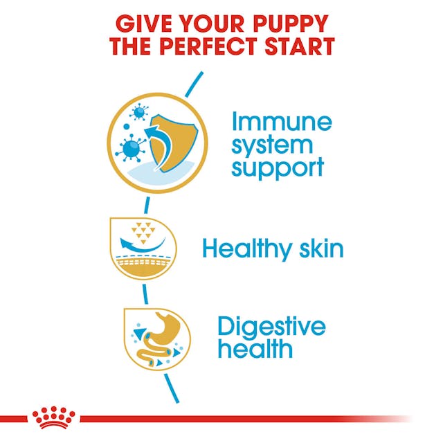 Royal Canin Dry Dog Food Pug Puppy - Woonona Petfood & Produce